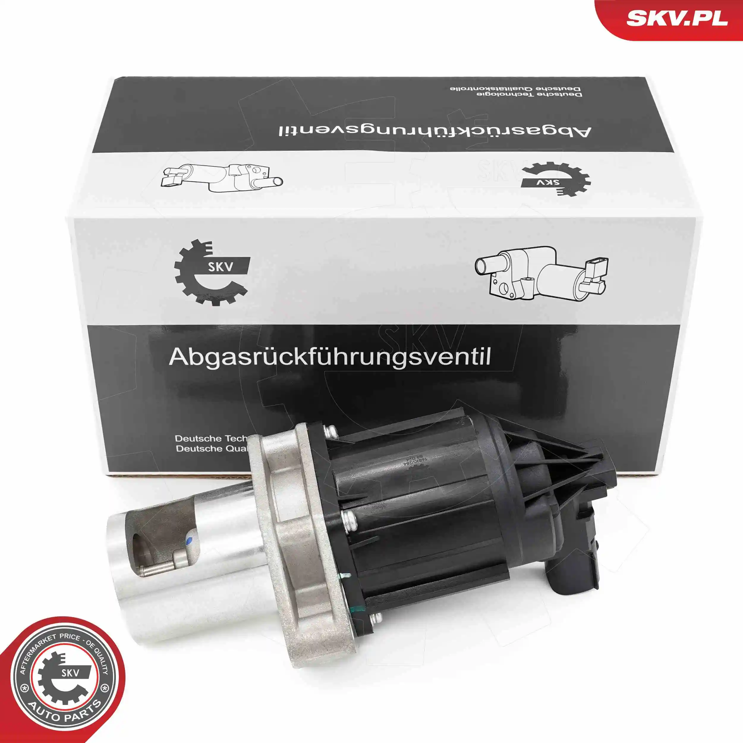 EGR Valve